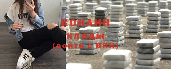 гидра Слюдянка