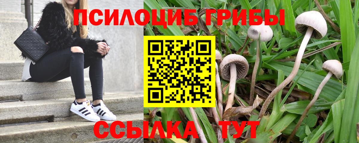 Псилоцибиновые грибы мухоморы Междуреченск