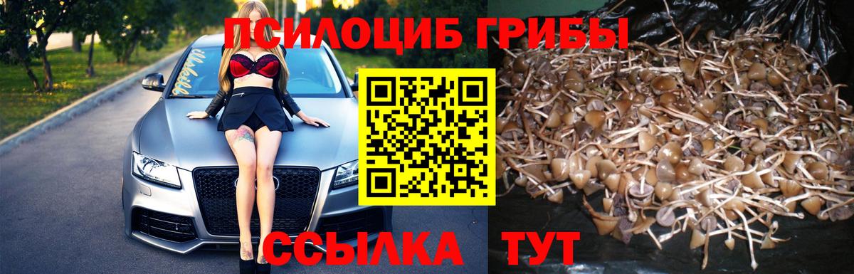 Междуреченск  Галлюциногенные грибы ЛСД  Вход с VPN 